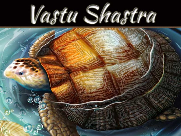 Importance Of Tortoise And Its Direction In Vastu Shastra