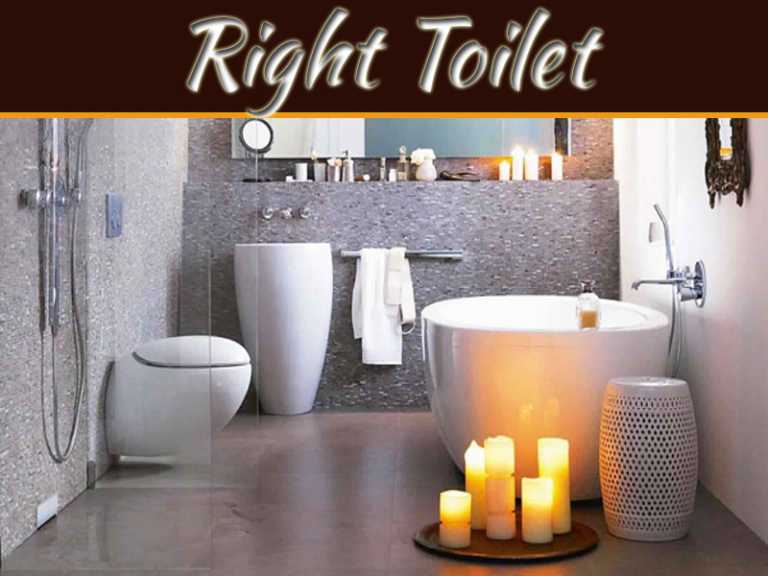 Choosing The Right Toilet