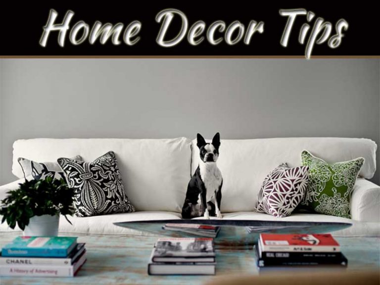 Home Tips For Pet Owners