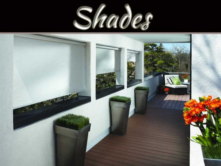 Know About The Shades In Home And Alternatives