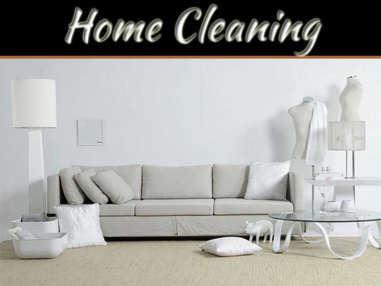 Let Me Help You Clean