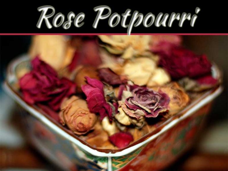 Make Rose Potpourri At Home