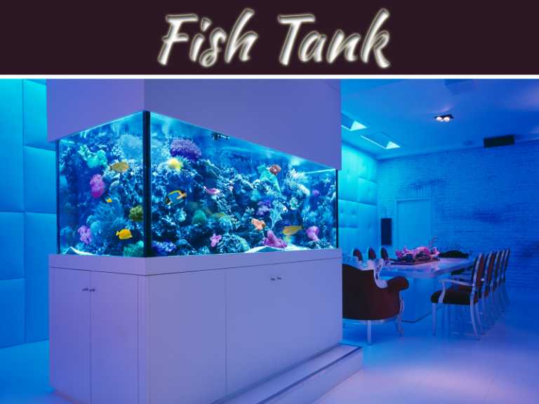 Feng Shui Tips for Location of the Fish Tank At Home