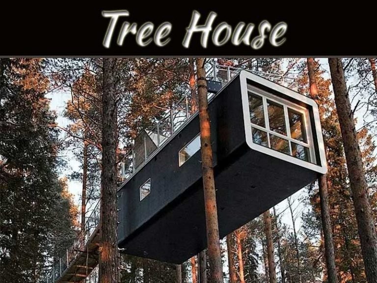 Have A Look On Top Stunning Tree House Around The Globe