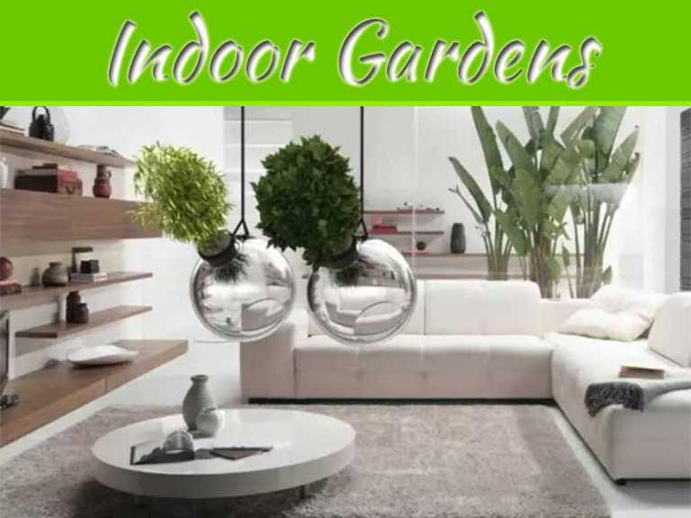 Modern Indoor Gardens