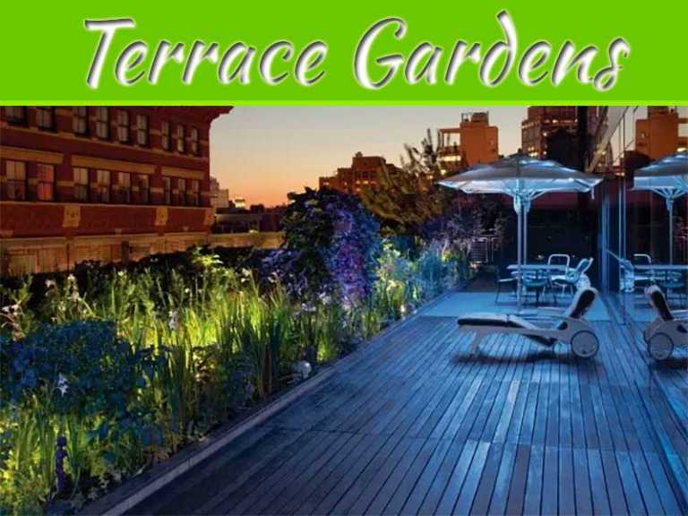 Terrace Gardens of New York City