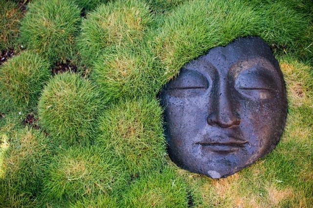 Vastu Shastra’s Garden Layout Tips