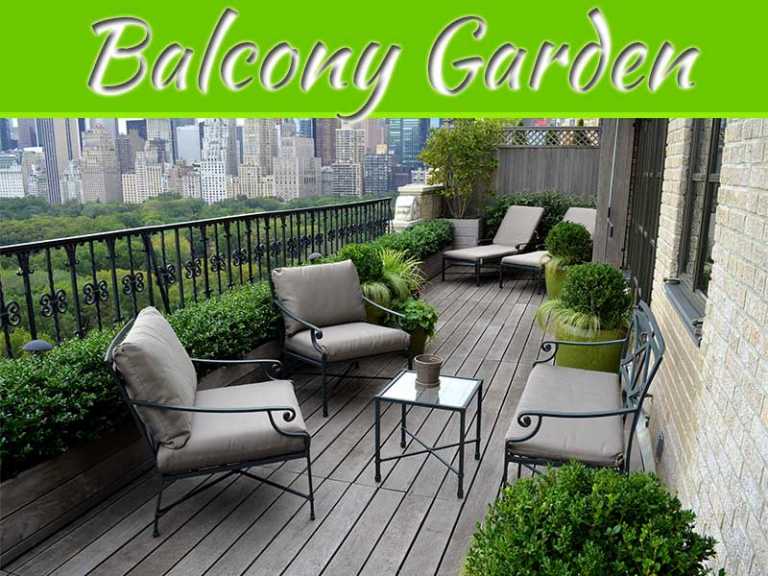 Balcony Garden For City Homes