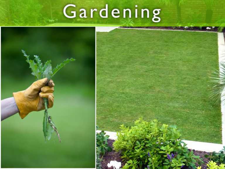 Keeping Your Garden Weed Free