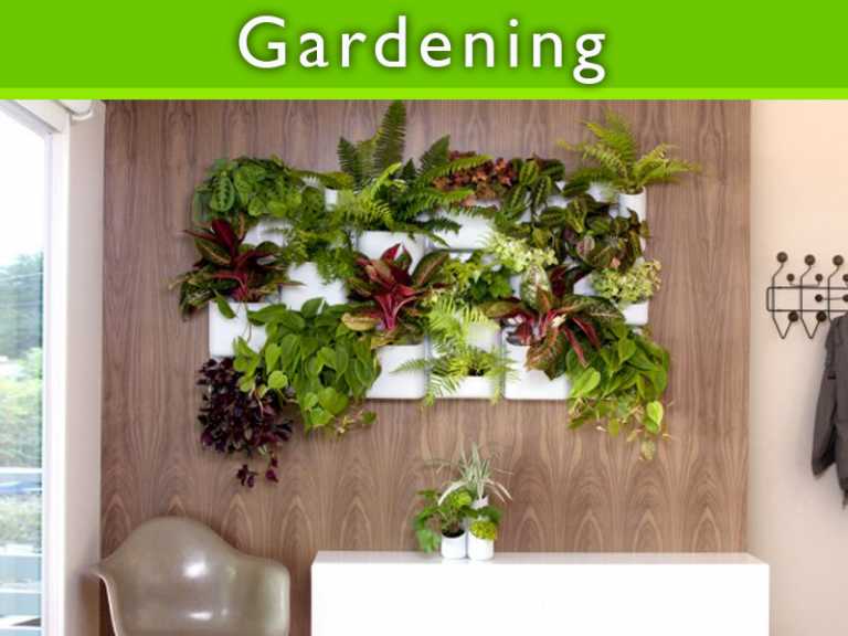 Beginning to create Indoor Gardens