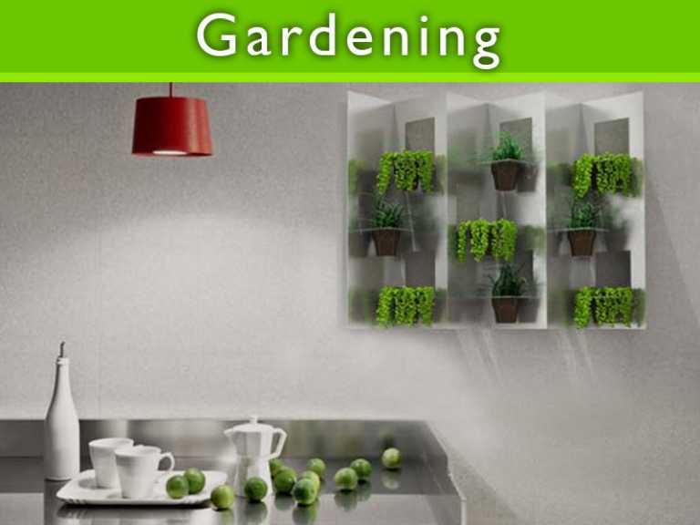 How to Start Your Own Indoor Garden?