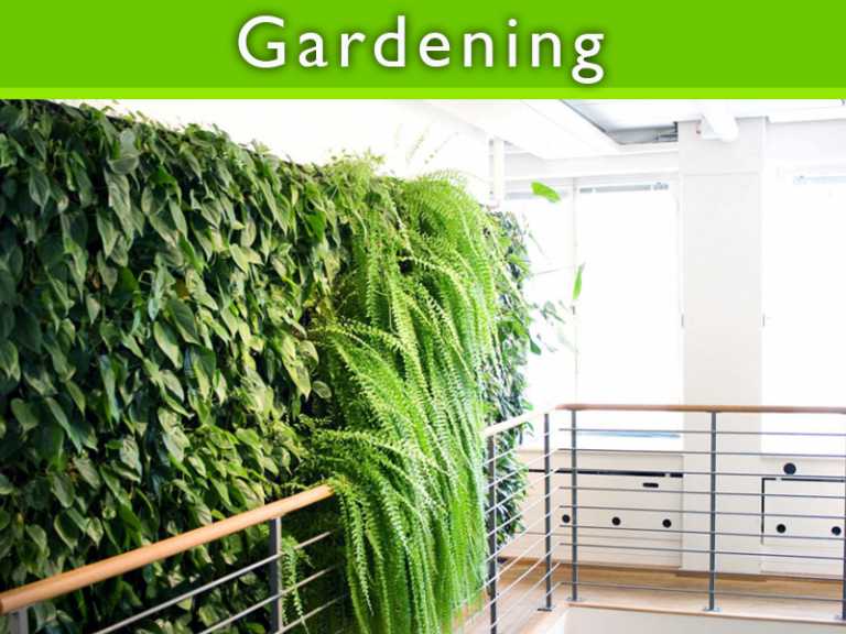 Top 7 Ideas for Modern Gardens!!!