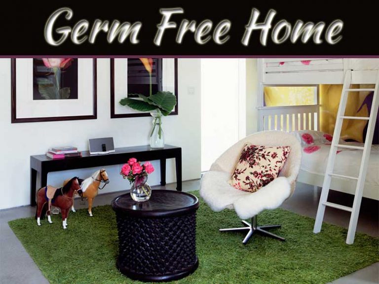 Make Your Home Germ Free