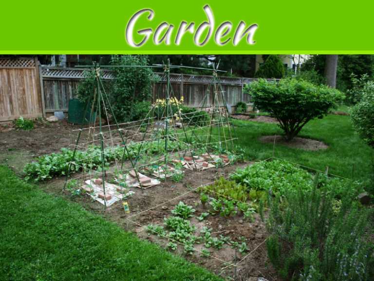 6 Ways to Make Your Garden Go Really "Green"