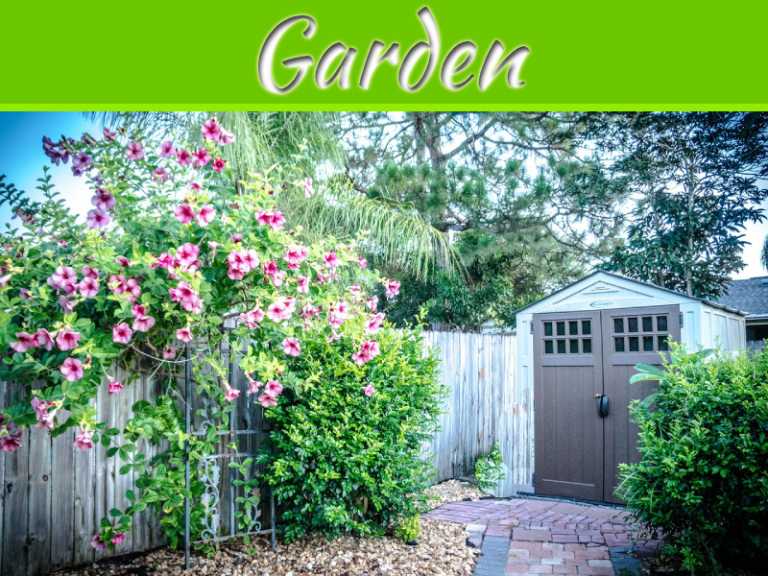 Cost-Effective Ways to Bring Your Garden Back to Life