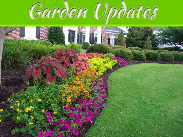 Top 5 Garden Updates to Increase Your Home's Sale Appeal