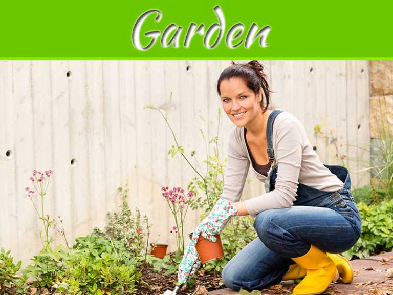 Why You Should Not Allow Dead Leaves To Settle Down In Your Garden