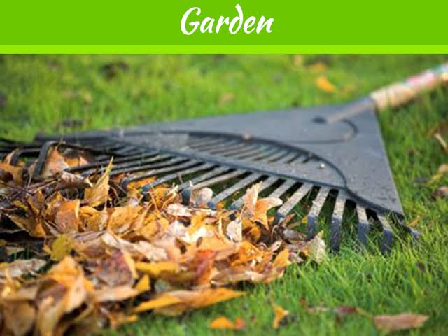 5 Ways to Prepare your Lawn for Winter