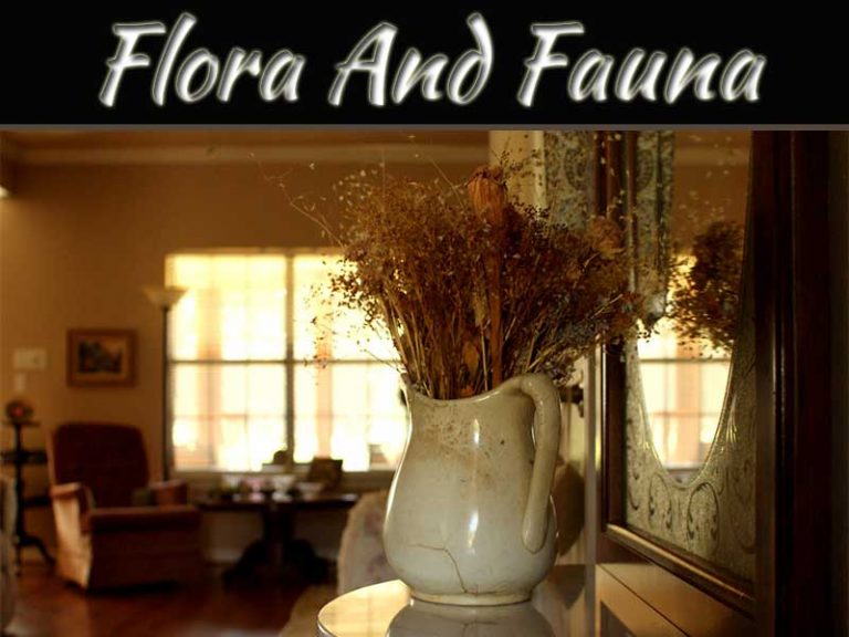 Bring Flora And Fauna Into Your Living Room With These Botanic Garden Inspired Designs