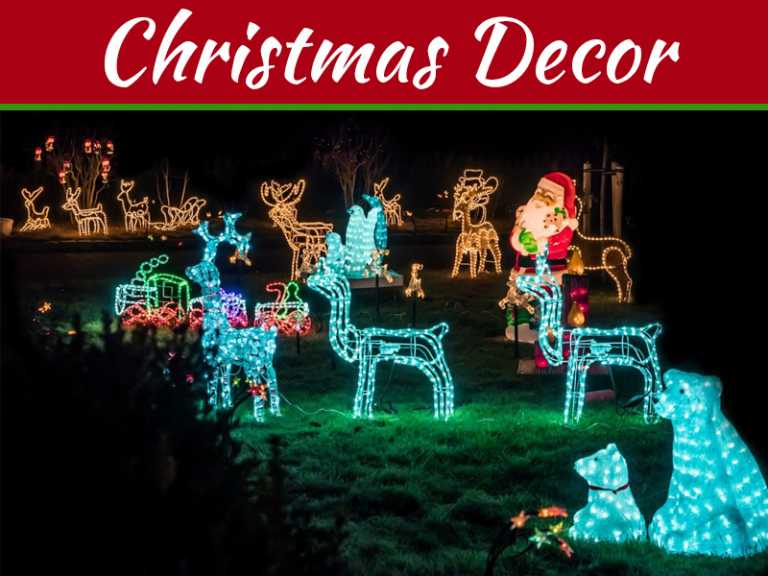 The Christmas Lights in the Outdoor Space