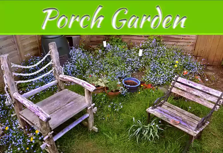 What To Grow In Your Small On-The-Porch Garden