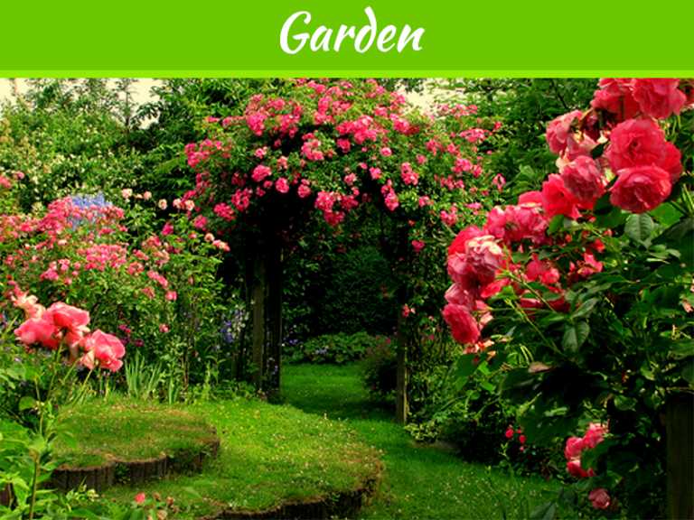 6 Mighty Things To Ensure Preventing Roses From Winter