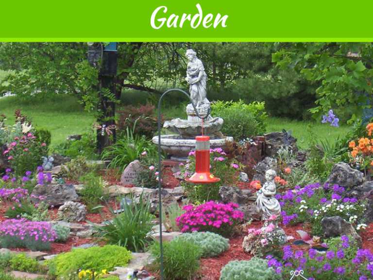 Landscaping Basics for Starting up a Yard from Scratch