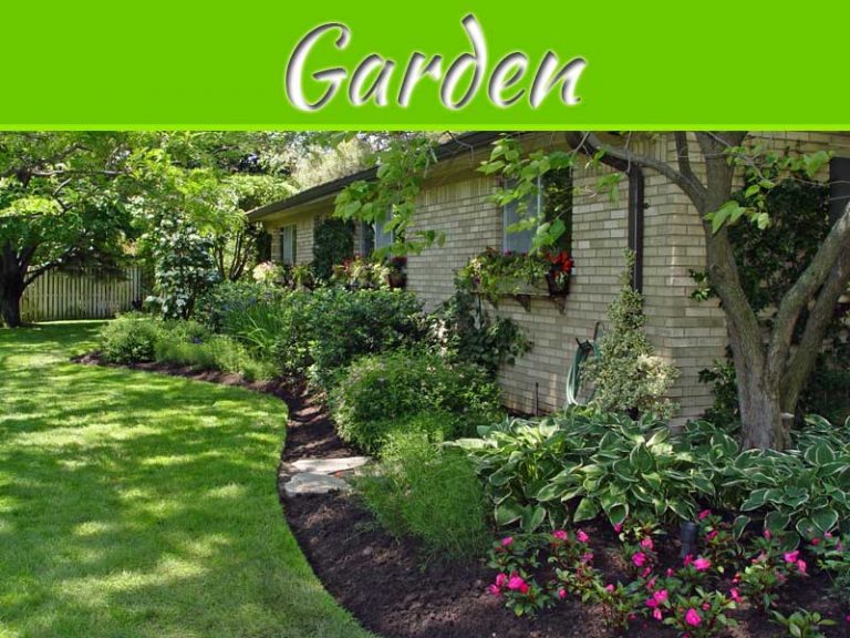 When Wildlife Isn't Wild Enough: Preventing Unwelcomed Visitors To Your Home, Yard And Garden