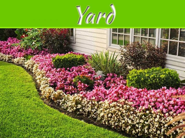 5 Ways To Beautify Your Yard This Summer
