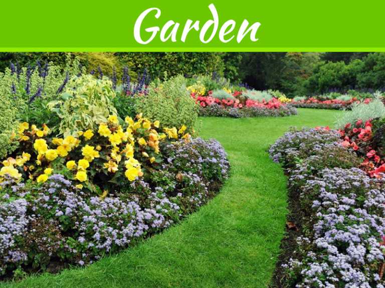 4 Yard Care Techniques You Are Probably Doing Wrong