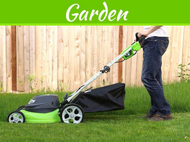 What To Ask A Lawn Care Company Before Hiring