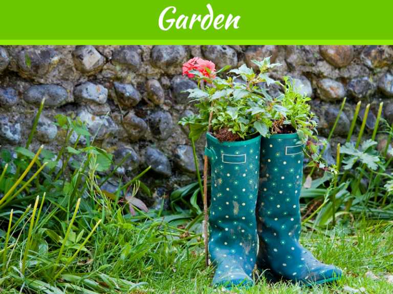 Make Over Your Backyard This Summer with These DIY Ideas