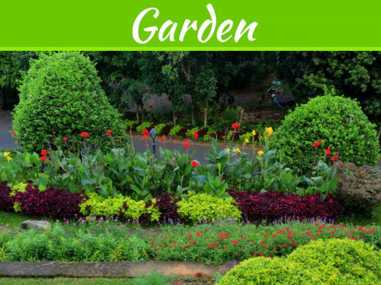 5 Ways To Update The Garden In A New Home