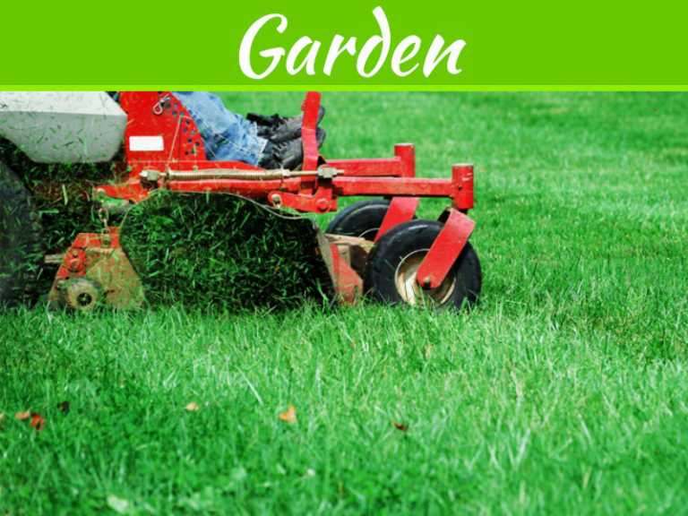 Acquiring The Best Zero Turn Mowers As Well As Power Machinery For Your Company