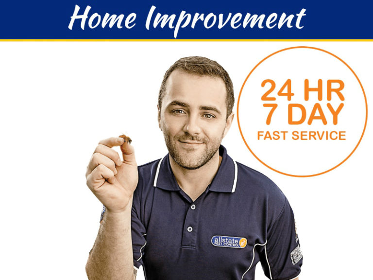 3 Common Signs To Look For If You Think You Have Pests In Your Home