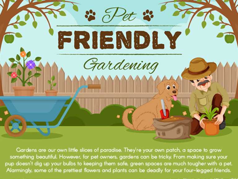 Pet Friendly Gardening