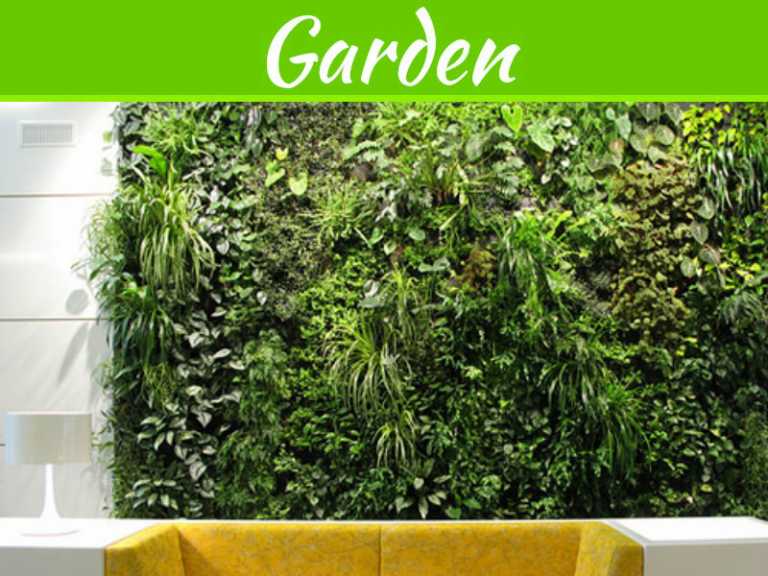 Benefits Of Having A Wall Garden