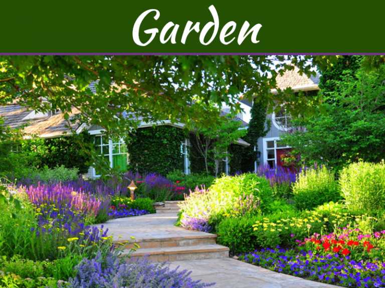 How To Create An Amazing Garden That's Full Of Colour