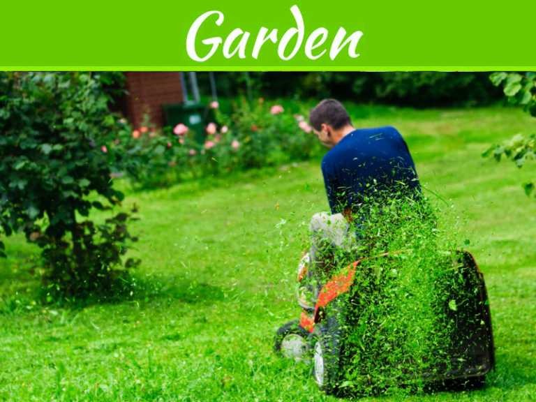 Save Time By Picking The Best Lawn Tractor For Your Garden