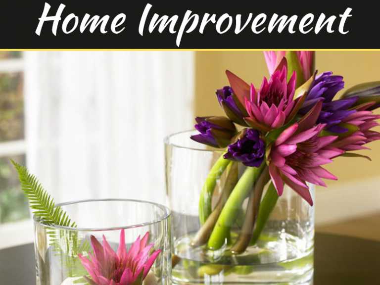 5 Decor Features That Improve Your Air Quality