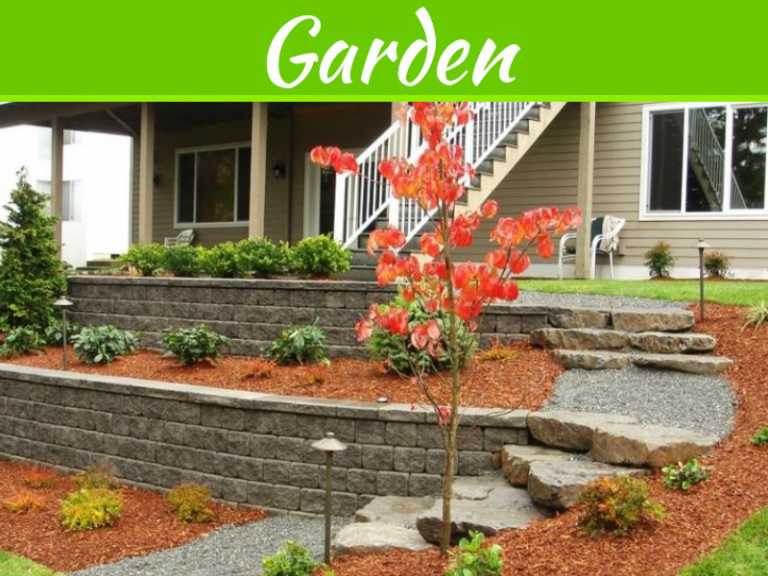 5 Top-Notch Landscape Designs For Your Home This Fall