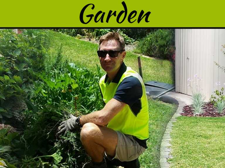 Professional Gardening Services – Keeping The Garden Well Arranged