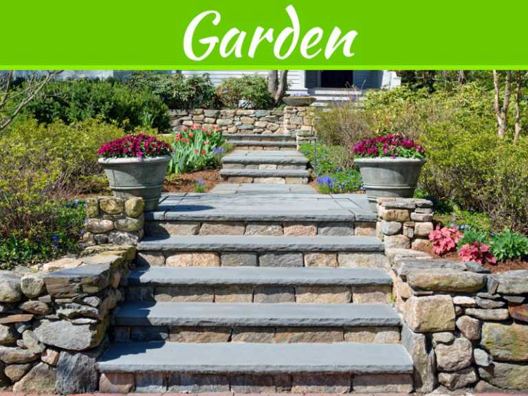 Everything You Need To Know About Sandstone Rock