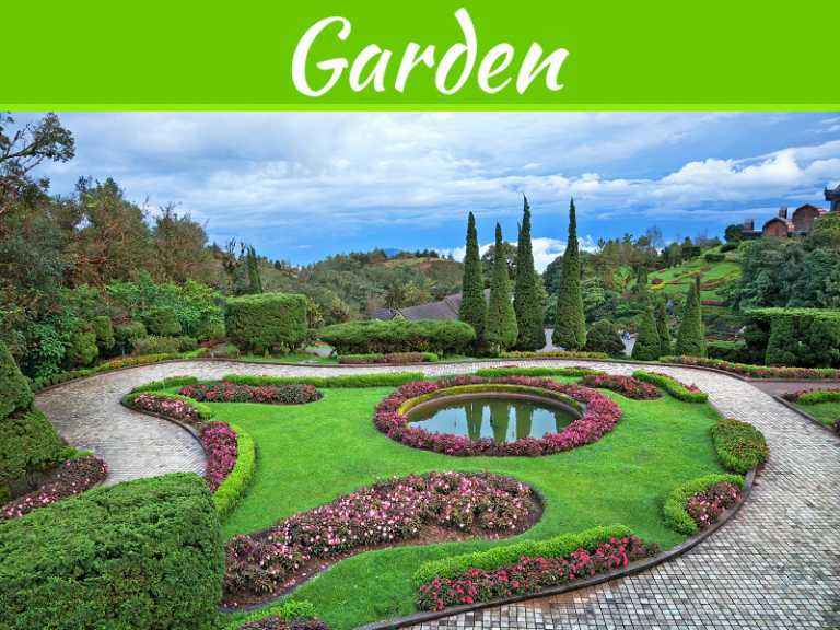 Hiring Services Of Professional Landscaping Contractors