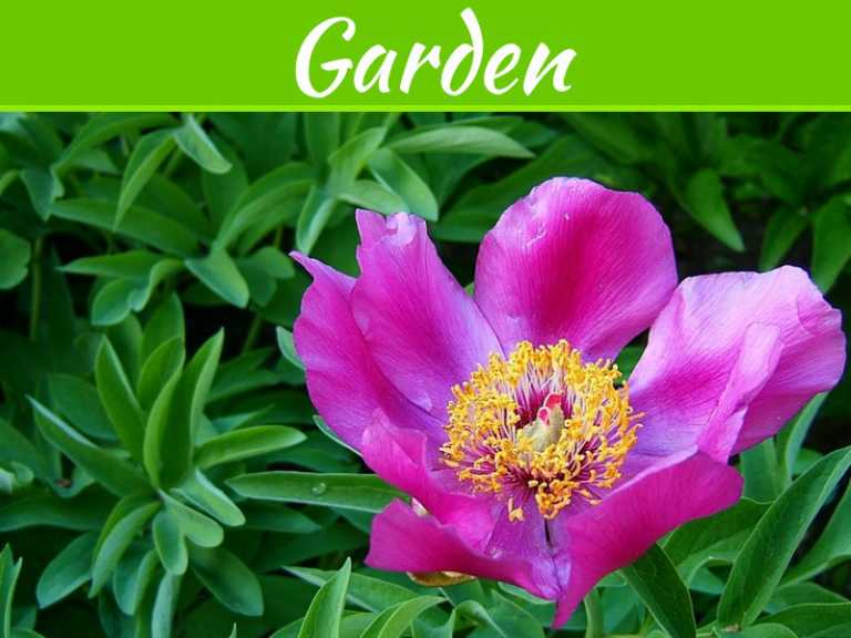 How To Transition Your Yard From Summer To Winter