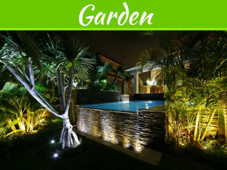 Enhance Your Gardens With The Fabulous Outdoor LED Lighting