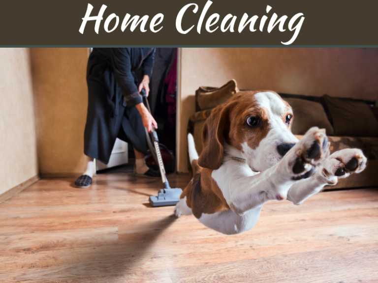 How To Take Care Of Your Hardwood Floors