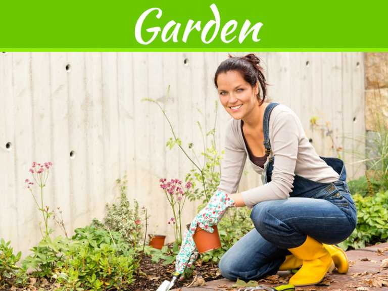 The Suburban Farmer – 3 Weather-Wise Ways To Keep Your Garden Flourishing Through Summer
