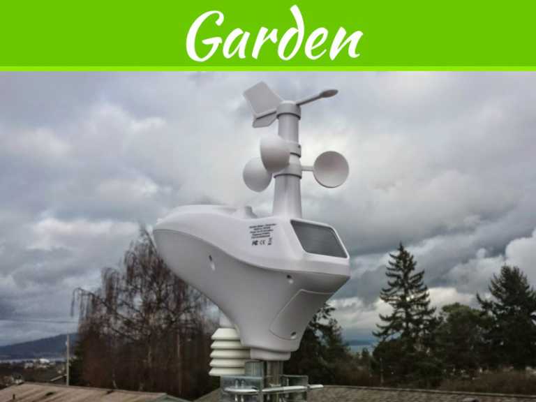 The Top 3 Ways That A At Home Can Help Your Garden