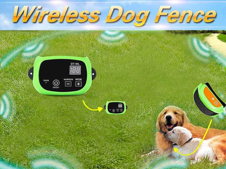 How To Choose The Perfect Wireless Dog Fence